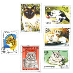Timbres Chats