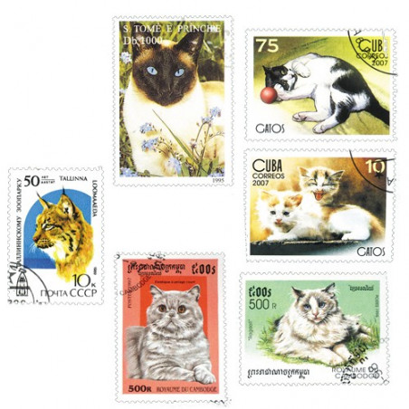 Timbres Chats