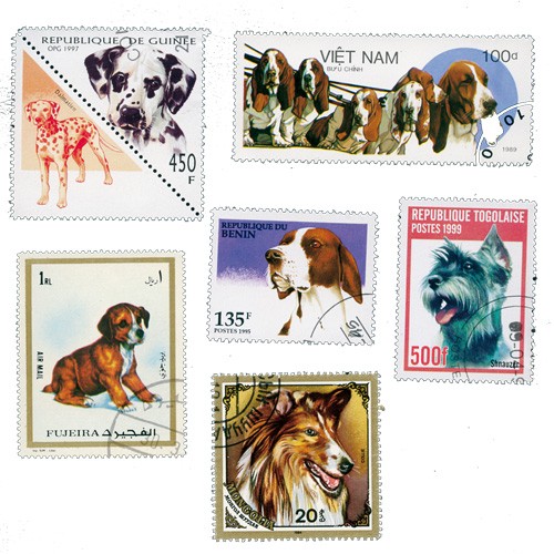 Timbres Chiens - Lot de 500 timbres