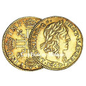 Demi-Louis d’Or Louis XIII (1610-1643)
