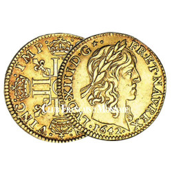 Demi-Louis d’Or Louis XIII (1610-1643)