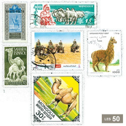 50 timbres Camélidés
