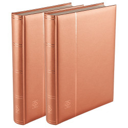 Lot de 2 albums de collection bronze