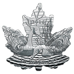 10 Dollar Argent Canada BE 2016 - Bernaches du Canada