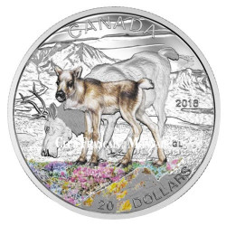 20 Dollars Argent Canada BE 2016 colorisée - Bébé Caribou