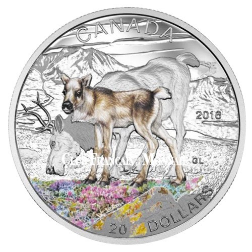 20 Dollars Argent Canada BE 2016 colorisée - Bébé Caribou