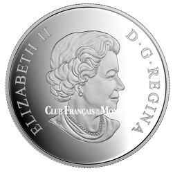 20 Dollars Argent Canada BE 2016 colorisée - Castor