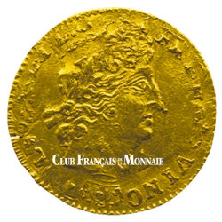 Louis d’Or - Louis XIV aux insignes