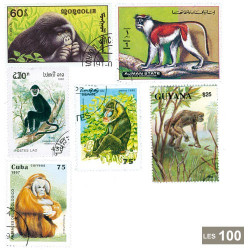 100 timbres singes