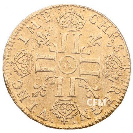 Ecu d'Or Louis XIV (1638 - 1715) à la mèche longue