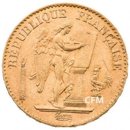 20 Francs Or Génie 1893 A - IIIe République