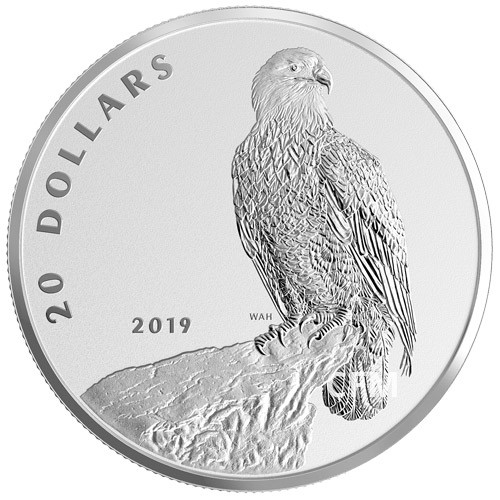 20 Dollars Argent Canada BE 2019 - Bald Eagle