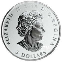 3 Dollars Argent Canada BE 2019 colorisée - Baleine