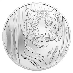 250 Togrog Argent BE 2019 - Tigre