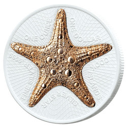1 Dollar Argent BU 2019 - Étoile de mer