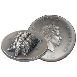 5 Dollars Argent 2020 - Tortue