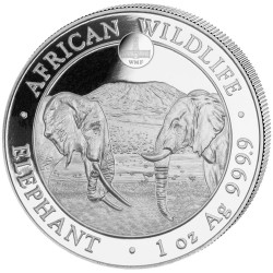 100 Shilling Argent Somalie BU 2020 - Éléphant