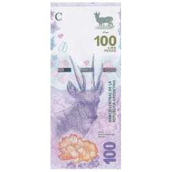 Billet 100 Pesos Argentine 2018