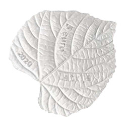 5 Euro Argent Lettonie BE 2020 - Tilleul