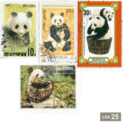 25 timbres pandas