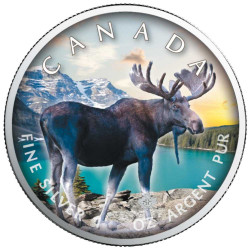 5 Dollars Argent Canada BU 2021 colorisée - Élan