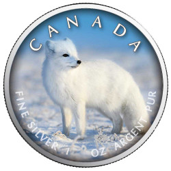 5 Dollars Argent Canada BU 2021 colorisée - Renard polaire
