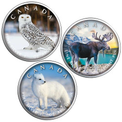 Lot 3 x 5 Dollars Canada BU 2021 colorisées