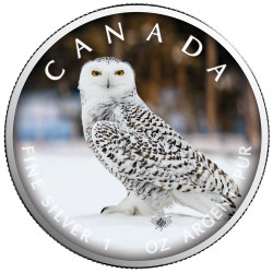 5 Dollars Argent Canada BU 2021 - Chouette