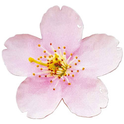 2 Dollars Argent BE 2021 - Fleur de cerisier
