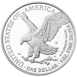 1 Dollar Argent USA 2021 - “Eagle“