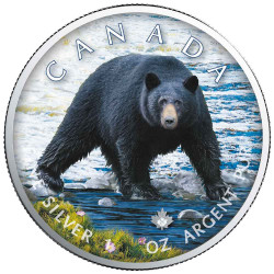5 Dollars Argent Canada BU 2021 - L’ours noir