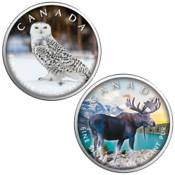 Lot 2 x 5 Dollars Argent...