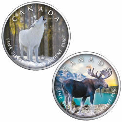 Lot 2 x 5 Dollars Argent Canada BU 2021 colorisées