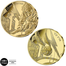 Lot 2 x 250 Euro Or 2021 -...