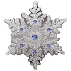 1 Dollar Argent Finition Antique Fidji BE 2022 - Flocon de neige