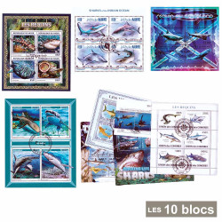 10 blocs Requins