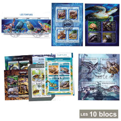 10 blocs Tortues