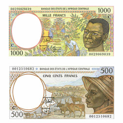 Lot 2 billets Congo 2000