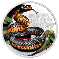 1 Dollar Argent BE 2022 colorisée - Serpent