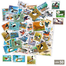 50 timbres Canards