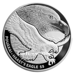 5 Dollar Argent...