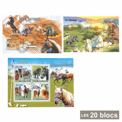 20 blocs Chevaux*