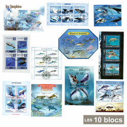 10 blocs Dauphins*