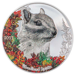 500 Togrog Argent BE 2023...