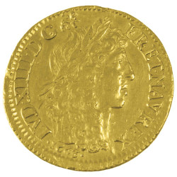 Louis d’Or - Louis XIV...