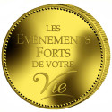 Notre-Dame de Paris dorée (2)