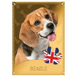 1 Dollar Or Tokelau colorisé - Beagle