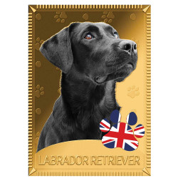 1 Dollar Or Tokelau colorisé - Labrador retriever