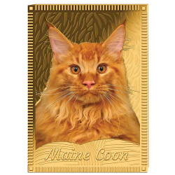 1 Dollar Or Tokelau colorisé - Maine-Coon