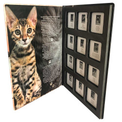 Album de collection Chats